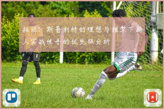 拓记：斯普利特的理想与框架下新人实战练手的优先级分析