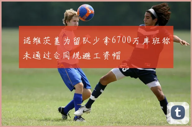诺维茨基为留队少拿6700万库班称未通过合同规避工资帽