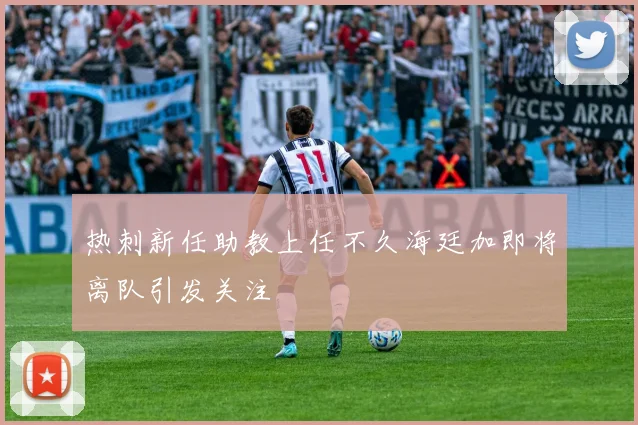 热刺新任助教上任不久海廷加即将离队引发关注